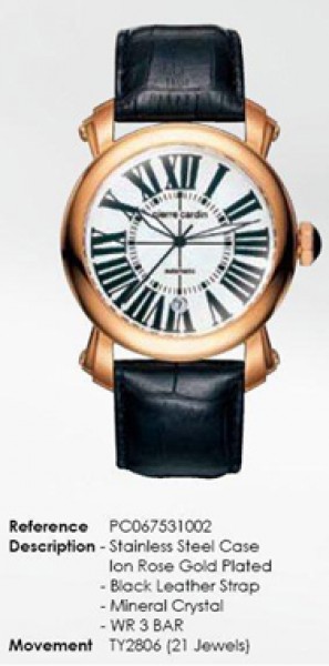 Pierre Cardin PC067531002 (67531.1IR021) Erkek Kol Saati