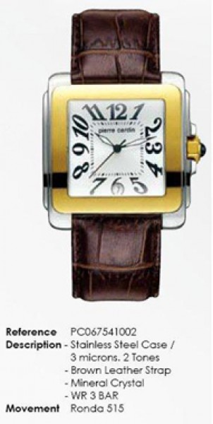 Pierre Cardin PC067541002 (67541.117023) Erkek Kol Saati