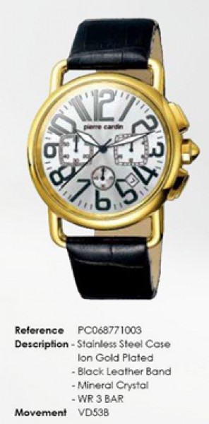 Pierre Cardin PC068771003 (68771.115012) Erkek Kol Saati