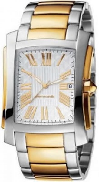 Pierre Cardin PC101551F04 Erkek Kol Saati