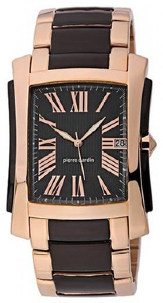 Pierre Cardin PC101551F03 Erkek Kol Saati