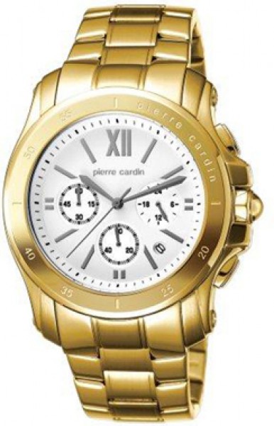 Pierre Cardin PC104291F08 Erkek Kol Saati