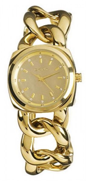DKNY NY4841 Bayan Kol Saati