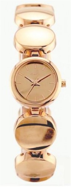 DKNY NY8868 Bayan Kol Saati